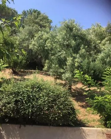 Lesjardinsfleuris *
